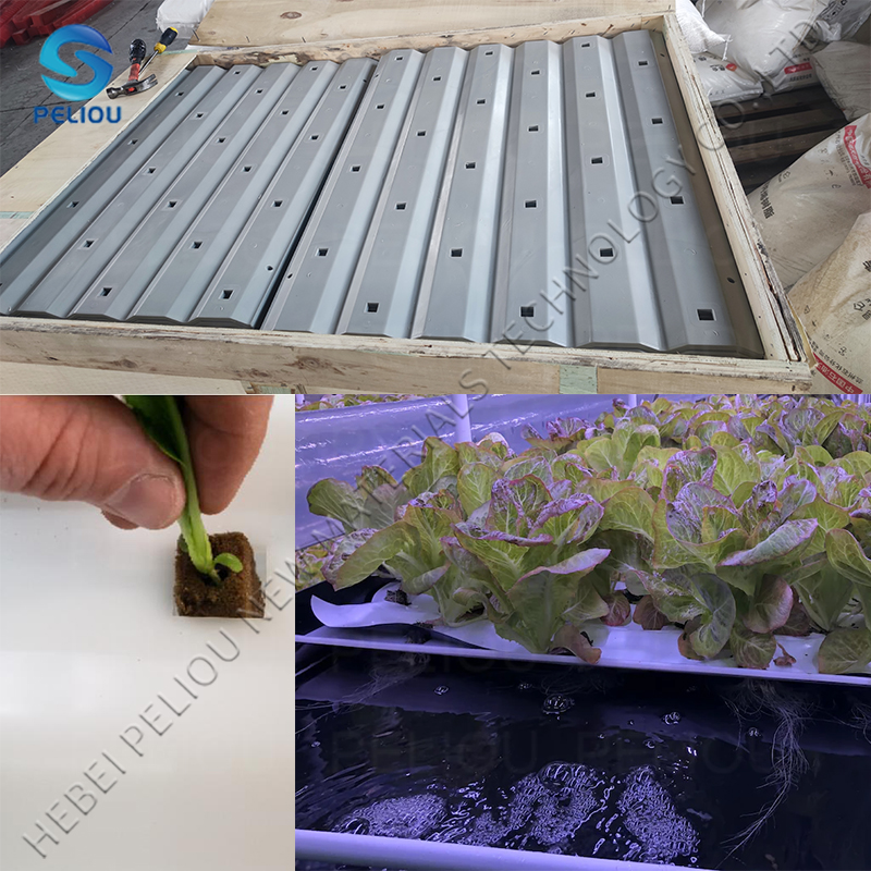 GREEN LEAVES RAFT 2.jpg